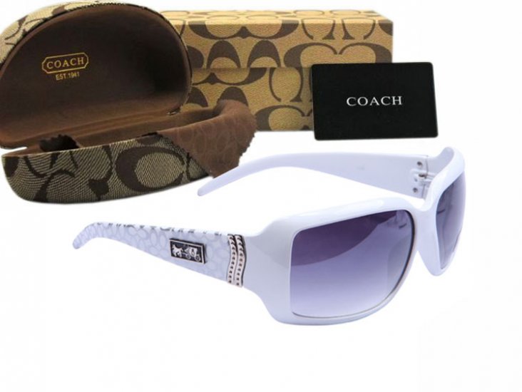 Coach Sunglasses 8012 | Women